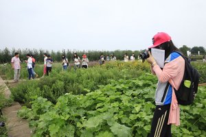 北京乡土花草大世界