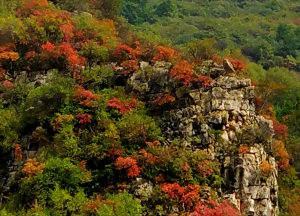 太行红叶风景区